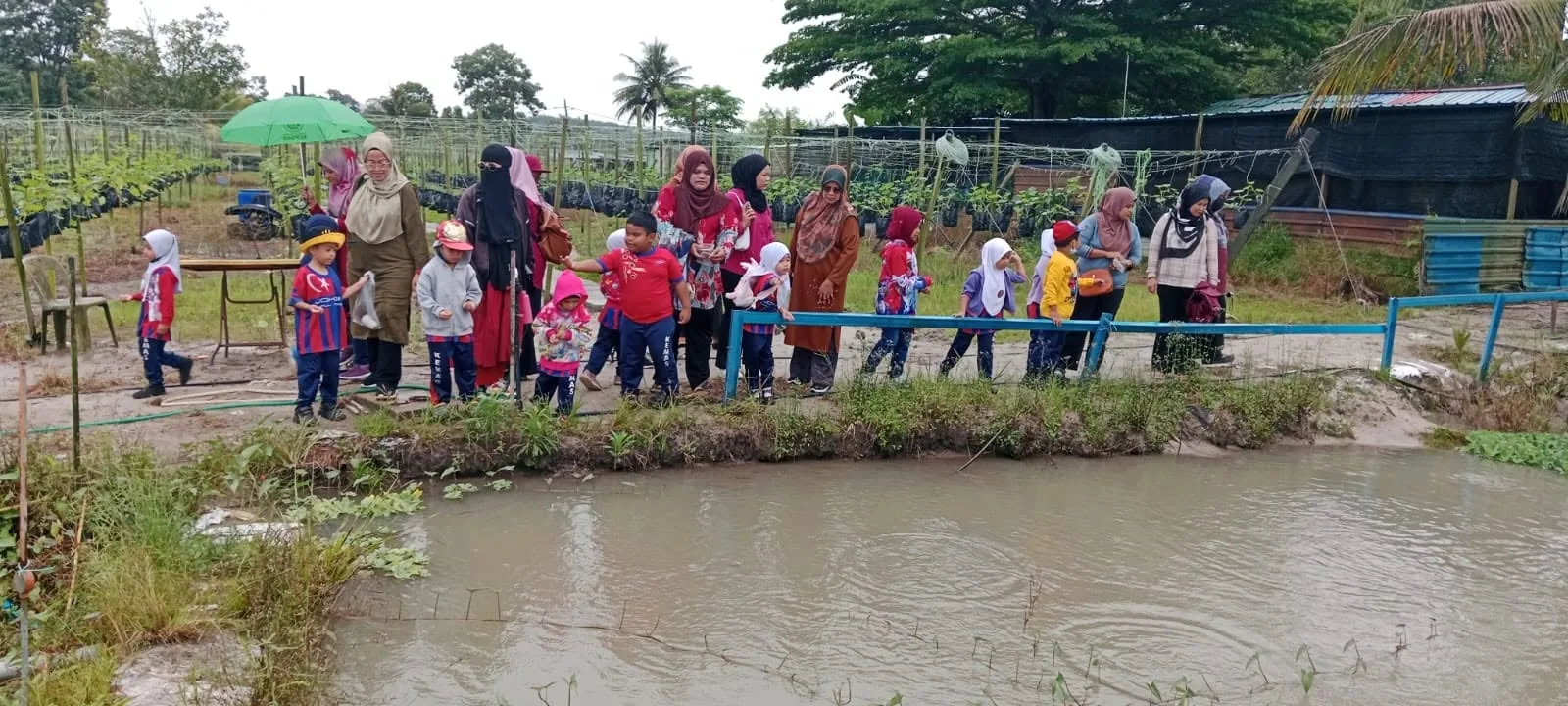 Foto: memberi makan ikan