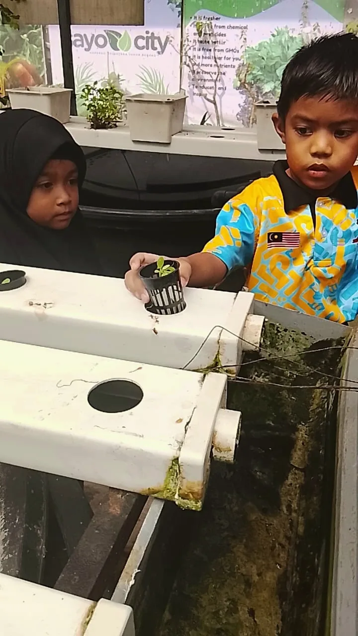 Foto: hidroponik
