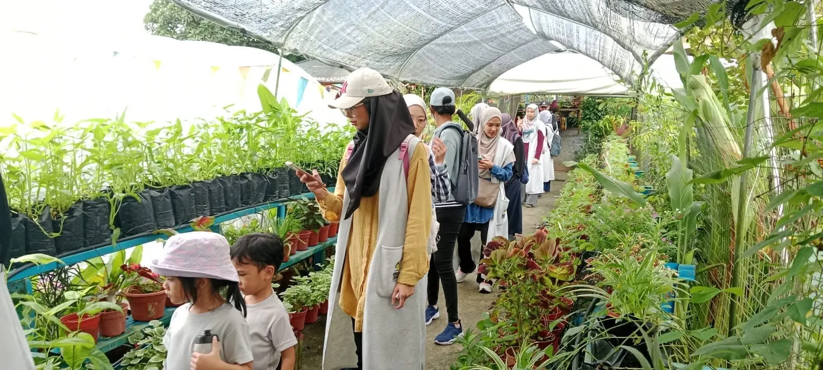 Foto: pelawat menjelajah nurseri Sayo City
