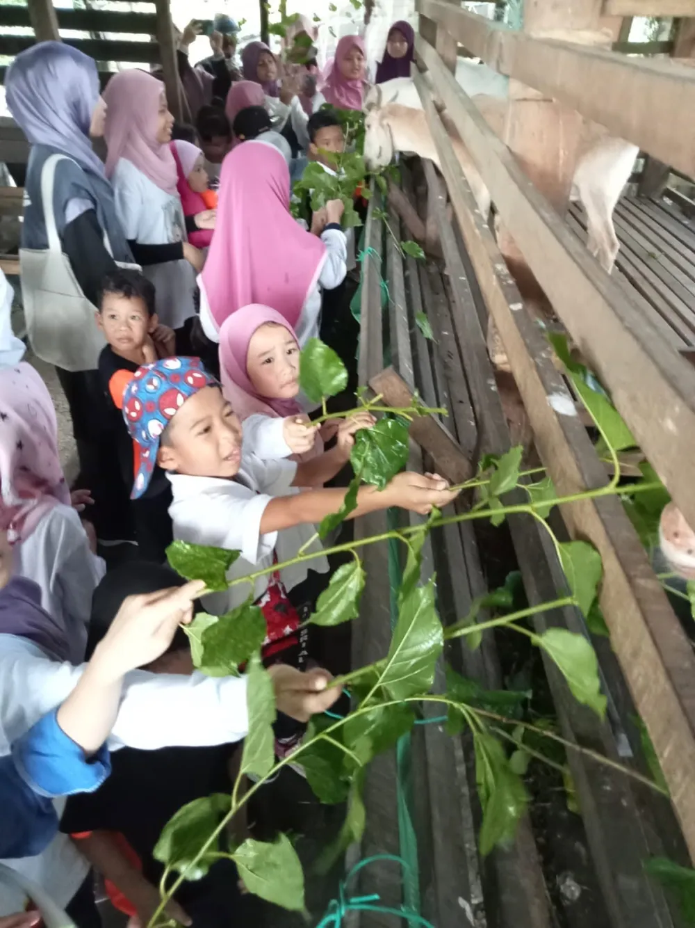 Foto: memberi makan haiwan