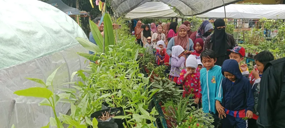 Foto: memberi makan ikan